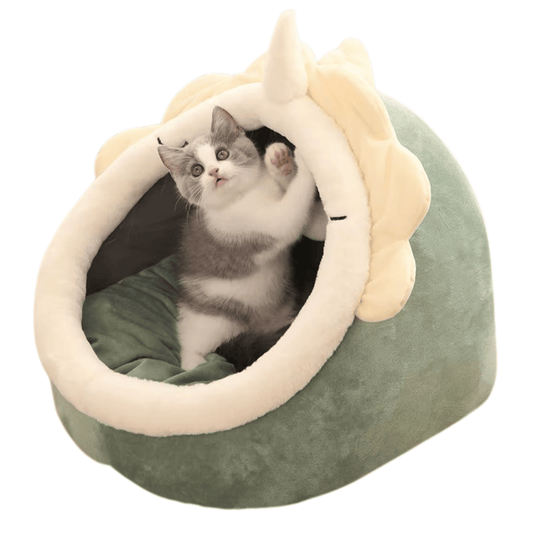 Pet Cartoon Bed
