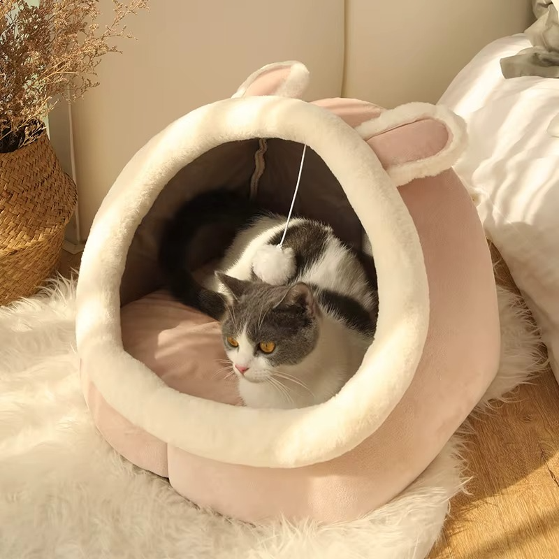 Pet Cartoon Bed