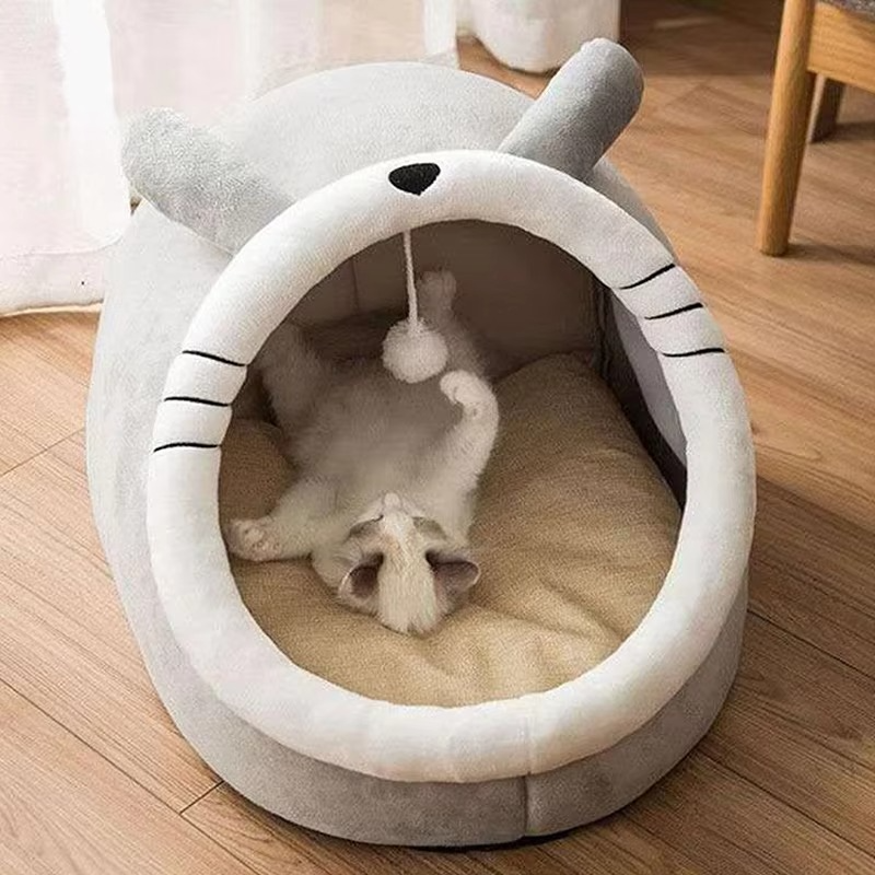 Pet Cartoon Bed